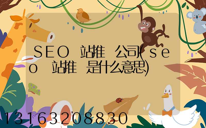 SEO網站推廣公司(seo網站推廣是什么意思)