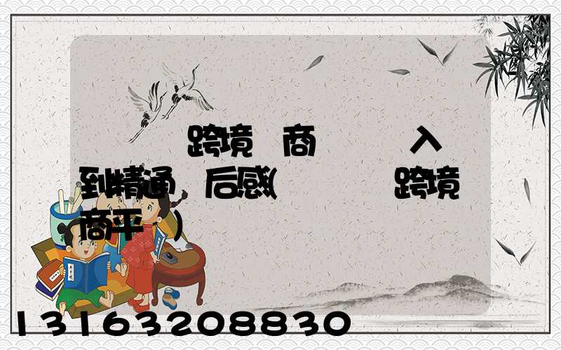 亞馬遜跨境電商運營從入門到精通讀后感(亞馬遜跨境電商平臺)