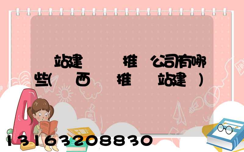 網站建設網絡推廣公司有哪些(陜西網絡推廣網站建設)